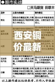 西安銅價(jià)最新動(dòng)態(tài)，今日行情查詢(xún)及分析摘要