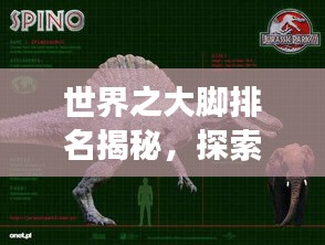 世界之大腳排名揭秘，探索大腳奇趣之旅