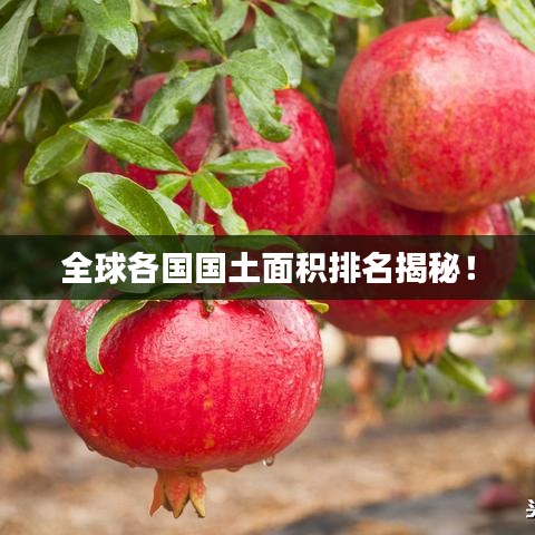 全球各國國土面積排名揭秘！