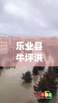 樂業(yè)縣牛坪洪水實況，最新信息及影響全面解析