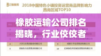 橡膠運輸公司排名揭曉，行業(yè)佼佼者及影響力概覽