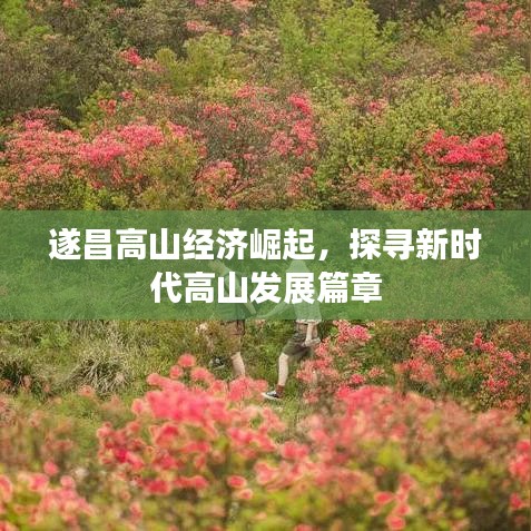 遂昌高山經濟崛起，探尋新時代高山發(fā)展篇章