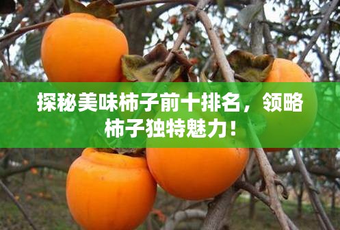 探秘美味柿子前十排名，領(lǐng)略柿子獨特魅力！