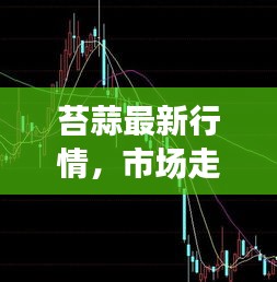 苔蒜最新行情，市場走勢揭秘，影響因素深度剖析！