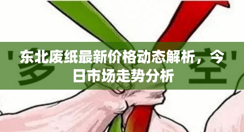 東北廢紙最新價格動態(tài)解析，今日市場走勢分析