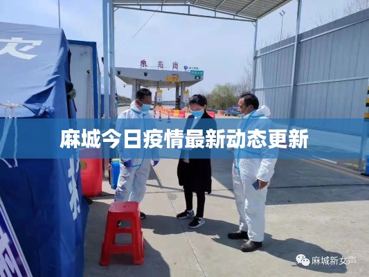 麻城今日疫情最新動(dòng)態(tài)更新