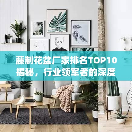 藤制花盆廠家排名TOP10揭秘，行業(yè)領(lǐng)軍者的深度剖析