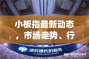 小板指最新動態(tài)，市場走勢、行業(yè)動向與未來展望今日揭秘