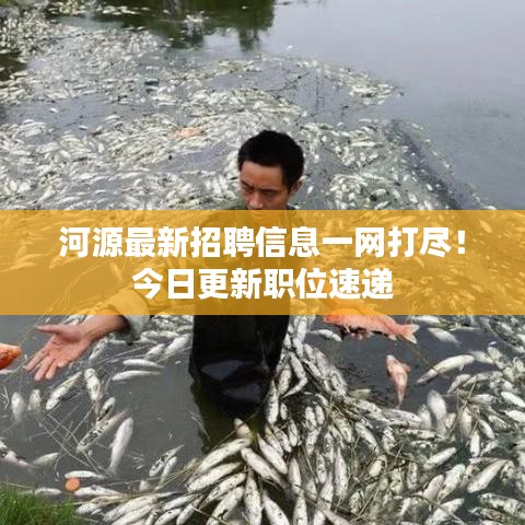 河源最新招聘信息一網(wǎng)打盡！今日更新職位速遞