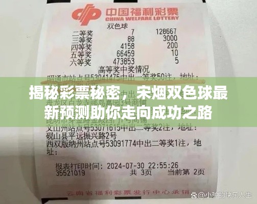 揭秘彩票秘密，宋煙雙色球最新預(yù)測(cè)助你走向成功之路