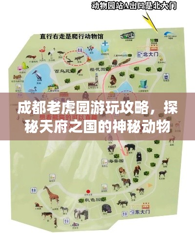 成都老虎園游玩攻略，探秘天府之國的神秘動物世界