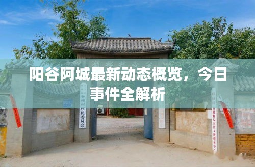 陽(yáng)谷阿城最新動(dòng)態(tài)概覽，今日事件全解析