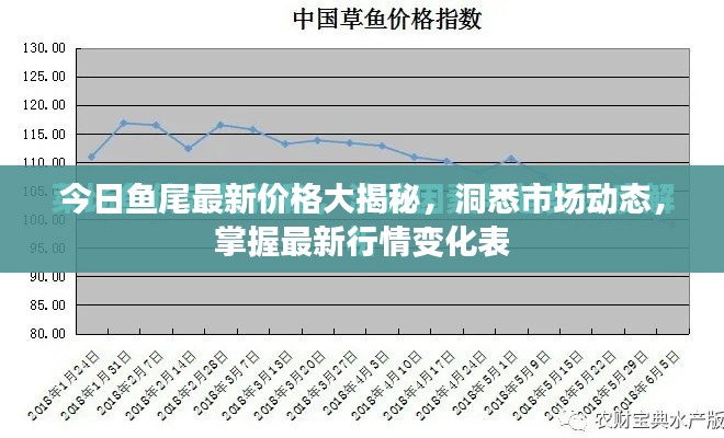 今日魚尾最新價格大揭秘，洞悉市場動態(tài)，掌握最新行情變化表