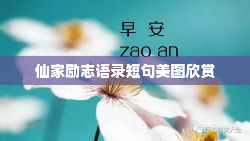 仙家勵(lì)志語錄短句美圖欣賞