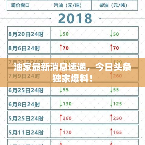 油家最新消息速遞，今日頭條獨家爆料！
