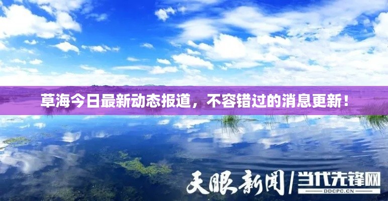 草海今日最新動態(tài)報道，不容錯過的消息更新！
