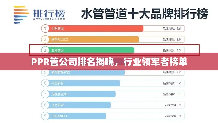 PPR管公司排名揭曉，行業(yè)領(lǐng)軍者榜單