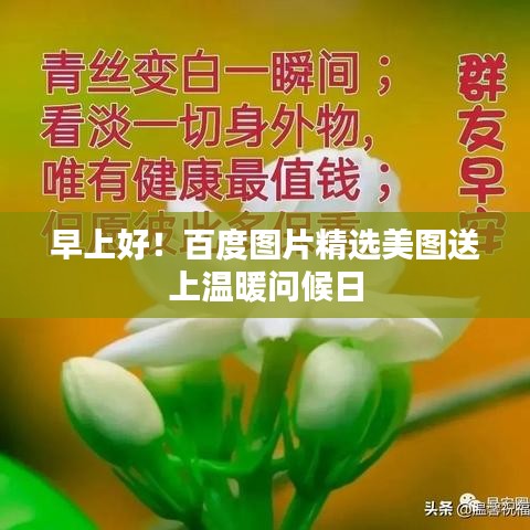 早上好！百度圖片精選美圖送上溫暖問候日