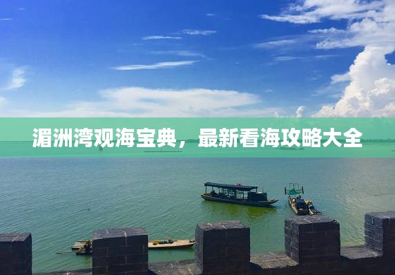 雅量高致 第2頁