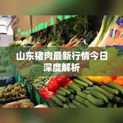 山東豬肉最新行情今日深度解析