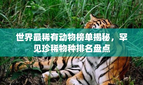 世界最稀有動物榜單揭秘，罕見珍稀物種排名盤點