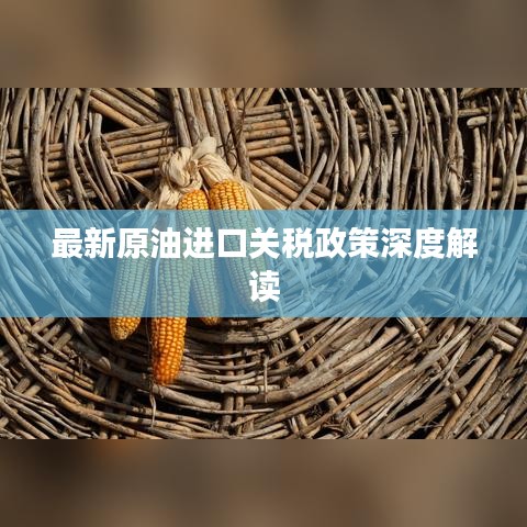 最新原油進(jìn)口關(guān)稅政策深度解讀