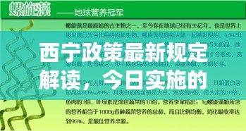 西寧政策最新規(guī)定解讀，今日實施的最新規(guī)定與調(diào)整