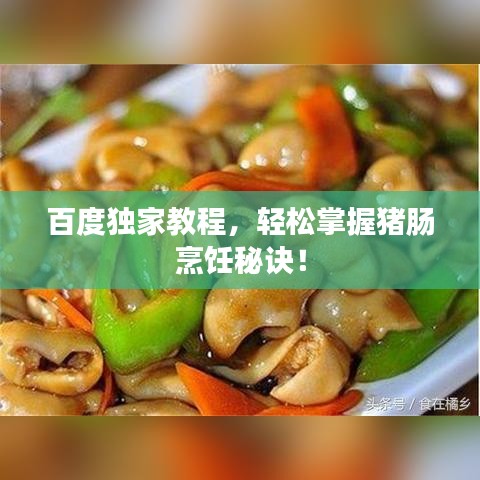 百度獨(dú)家教程，輕松掌握豬腸烹飪秘訣！
