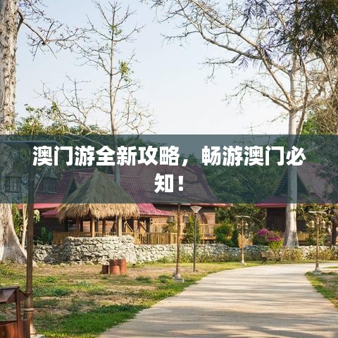 澳門游全新攻略，暢游澳門必知！