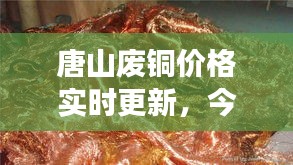 唐山廢銅價格實時更新，今日市場最新動態(tài)