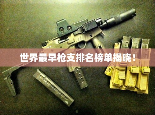 世界最早槍支排名榜單揭曉！