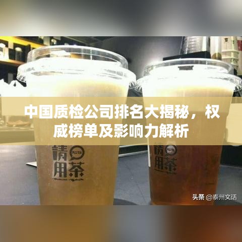 鴻飛雪爪 第2頁
