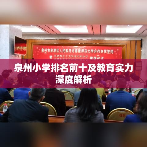泉州小學(xué)排名前十及教育實力深度解析