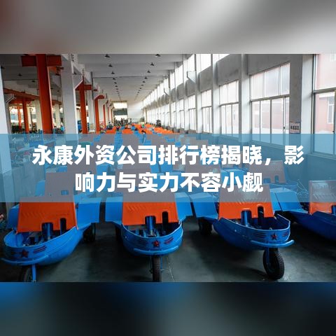永康外資公司排行榜揭曉，影響力與實(shí)力不容小覷