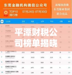 平潭財稅公司榜單揭曉，前十名企業(yè)大放異彩！