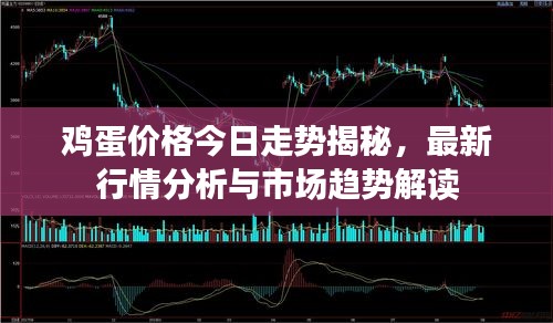 雞蛋價(jià)格今日走勢揭秘，最新行情分析與市場趨勢解讀