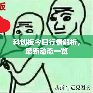 科創(chuàng)板今日行情解析，最新動態(tài)一覽