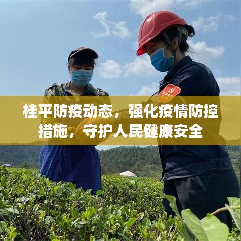 桂平防疫動態(tài)，強化疫情防控措施，守護人民健康安全