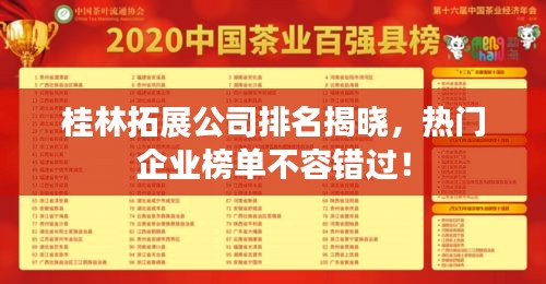 桂林拓展公司排名揭曉，熱門企業(yè)榜單不容錯(cuò)過！