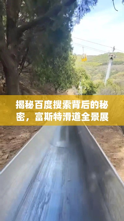 揭秘百度搜索背后的秘密，富斯特滑道全景展示