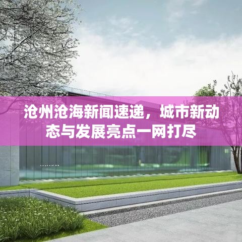 滄州滄海新聞速遞，城市新動(dòng)態(tài)與發(fā)展亮點(diǎn)一網(wǎng)打盡
