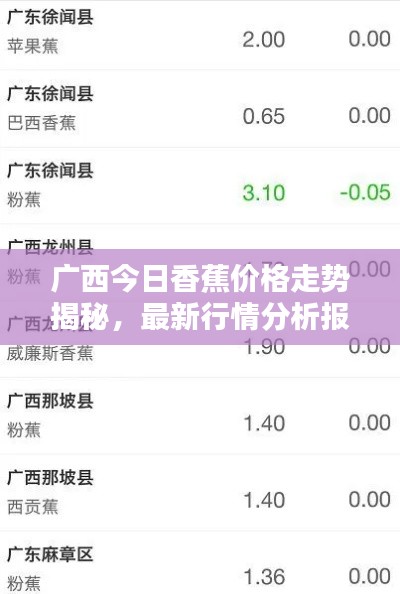 廣西今日香蕉價格走勢揭秘，最新行情分析報告