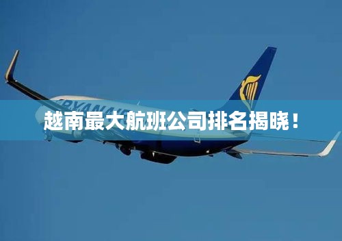 越南最大航班公司排名揭曉！