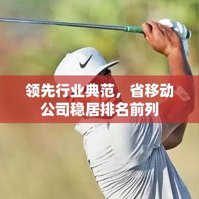 領(lǐng)先行業(yè)典范，省移動(dòng)公司穩(wěn)居排名前列
