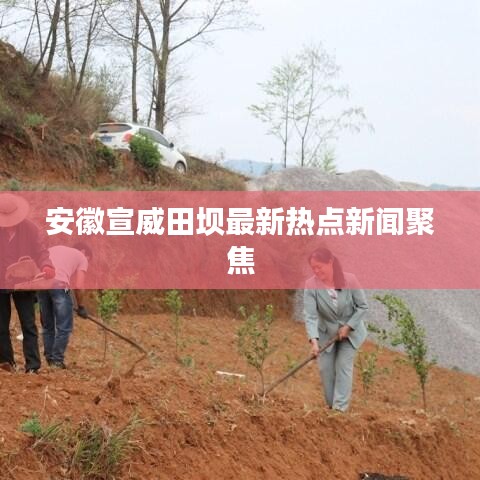 安徽宣威田壩最新熱點(diǎn)新聞聚焦