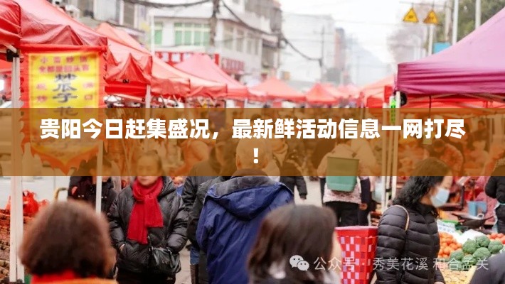 貴陽(yáng)今日趕集盛況，最新鮮活動(dòng)信息一網(wǎng)打盡！