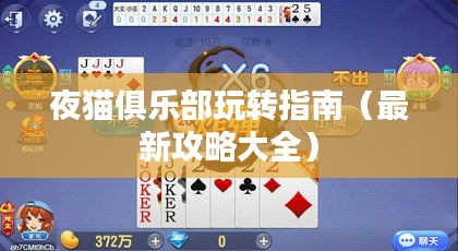 夜貓俱樂(lè)部玩轉(zhuǎn)指南（最新攻略大全）