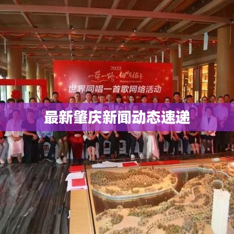 最新肇慶新聞動態(tài)速遞
