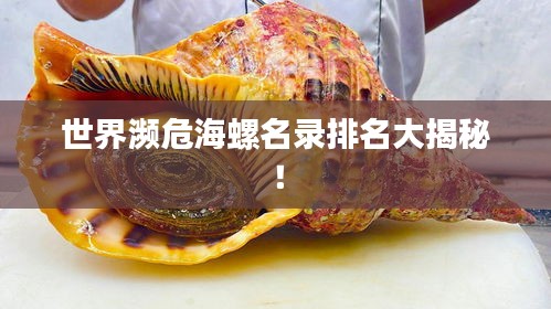 世界瀕危海螺名錄排名大揭秘！