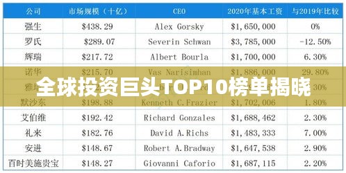 全球投資巨頭TOP10榜單揭曉
